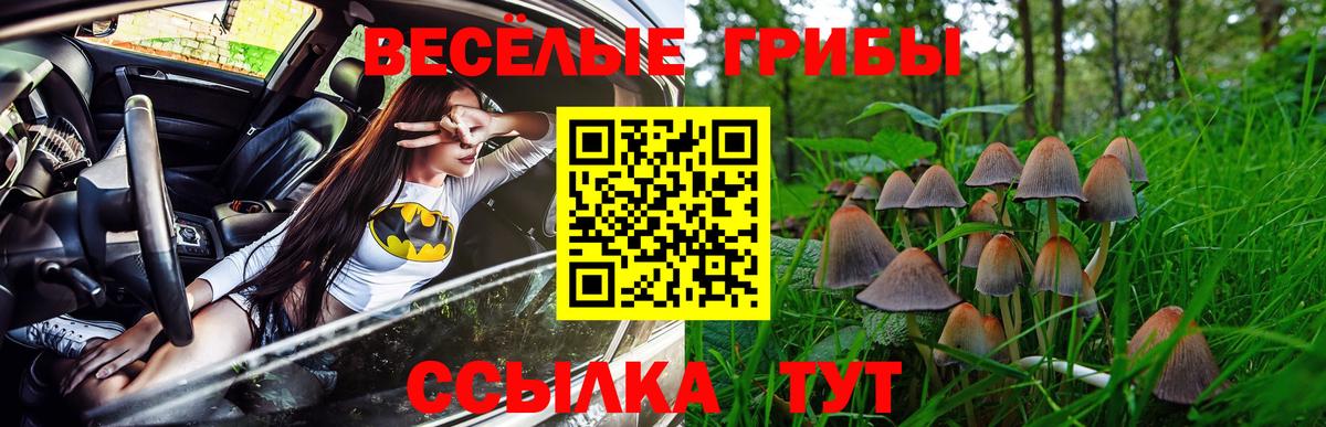 Псилоцибиновые грибы прущие грибы  Вход с VPN  Усть-Джегута 