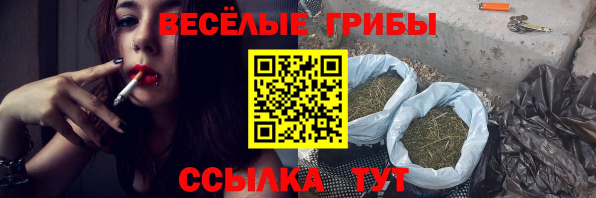 Псилоцибиновые грибы Psilocybine cubensis Усть-Джегута